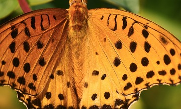 A7CDAA38-F092-4AC1-995E-97DA5CC72BA8/L0/001