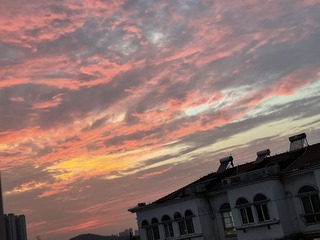 1B6D56F0-95E3-4D12-A697-1873615D0FFB/L0/001