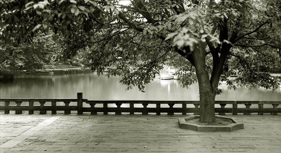 polaroid2012，006<br />
