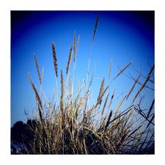 2015-01-15-16-16-34-039
