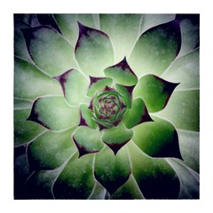 2015-01-30-18-02-52-365