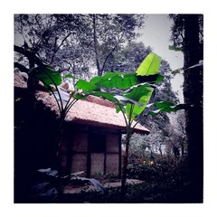 2015-02-25-11-51-54-063