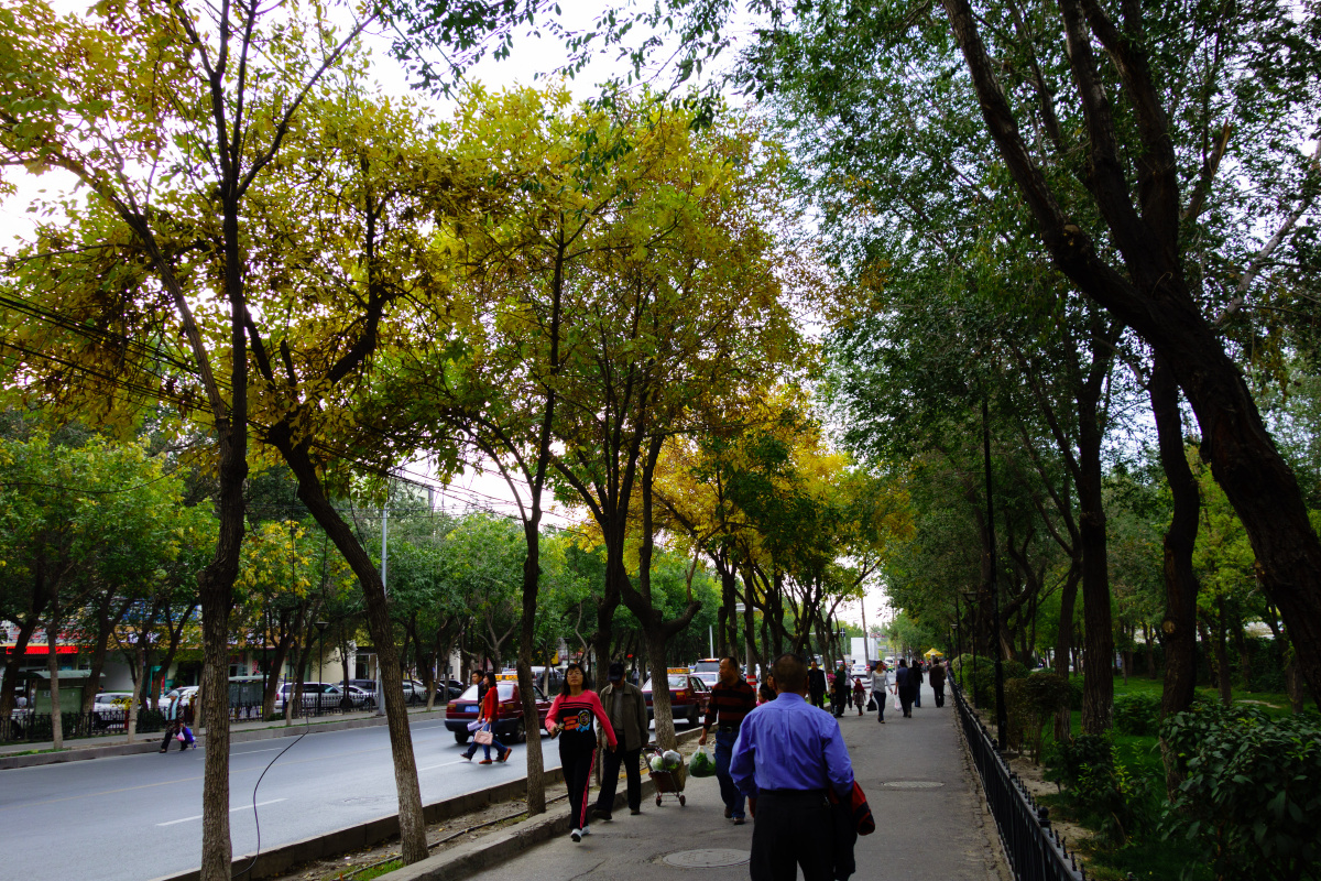 乌鲁木齐,迎宾路