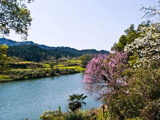 R0014053.jpg