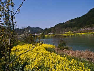 R0014083.jpg