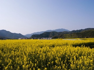 R0014119.jpg