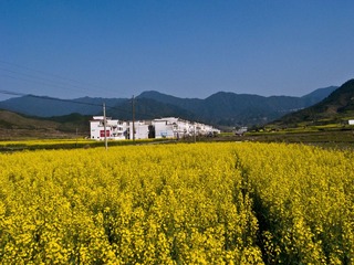 R0014121.jpg