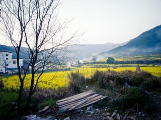 R0014130.jpg