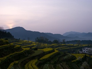 R0014163.jpg