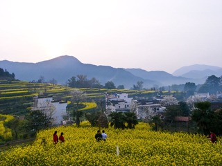R0014170.jpg