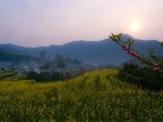 R0014178.jpg