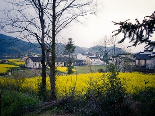R0014225.jpg
