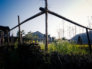 R0014268.jpg