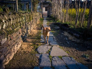 R0014272.jpg