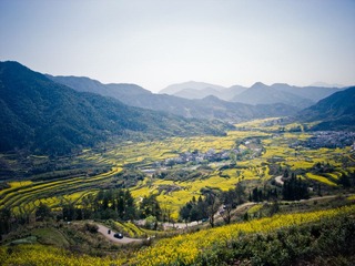 R0014315.jpg