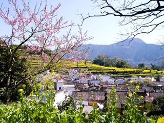 R0014317.jpg