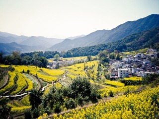 R0014322.jpg
