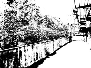 R0014516.jpg