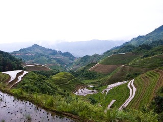 R0014829.jpg
