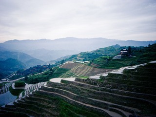 R0014955.jpg