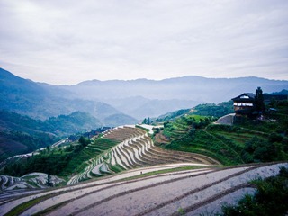 R0014964.jpg