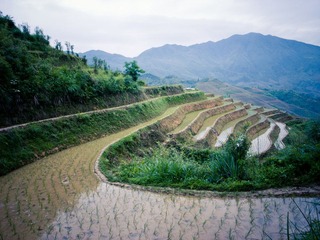 R0014980.jpg
