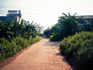 R0015418.jpg