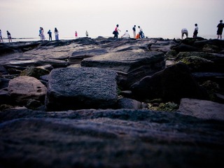 R0015477.jpg