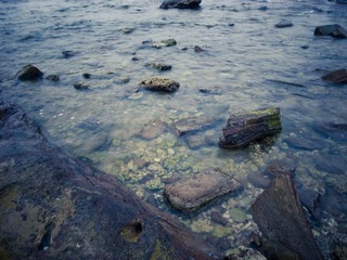 R0015480.jpg