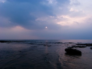 R0015509.jpg