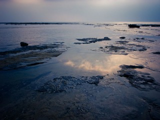 R0015516.jpg