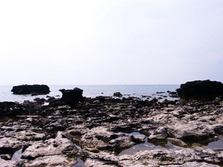 R0015597.jpg
