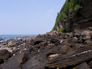R0015619.jpg