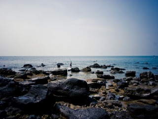 R0015622.jpg