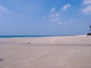 R0015654.jpg