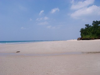 R0015655.jpg