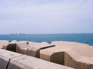 R0015685.jpg
