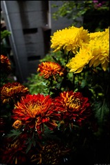 20130211-DSC00215.jpg