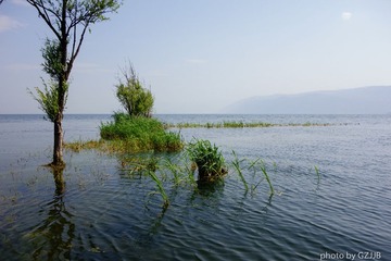 20130428-DSC00511.jpg