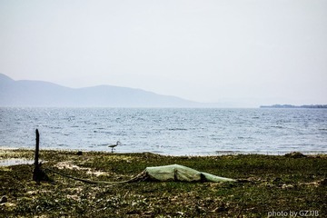 20130428-DSC00549.jpg