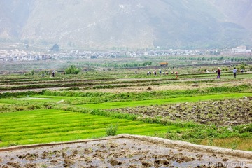20130428-DSC00581.jpg