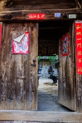 20130428-DSC00636.jpg