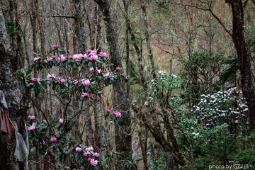 20130501-DSC01103.jpg