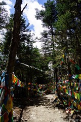 20130501-DSC01137.jpg