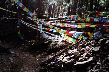 20130501-DSC01251.jpg