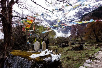 20130501-DSC01270.jpg