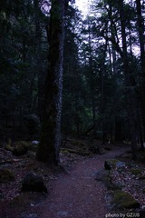 20130501-DSC01360.jpg