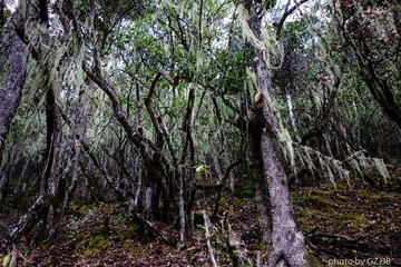 20130502-DSC01411.jpg