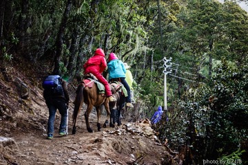 20130502-DSC01412.jpg