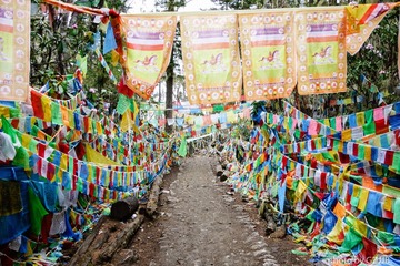 20130502-DSC01418.jpg